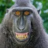 odjou_le_conservateur