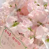hbkhang231223
