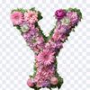 yantiharyanti32