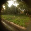 syahrul.asm1