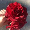 __hiba19