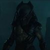 falconer_predator0