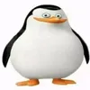 user560034986