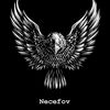 ilqarnecefov5191