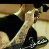 fofo.fisl