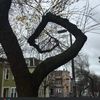 poemas_deunsolitario
