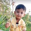 mdalauddin93380
