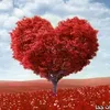 user8005796371125