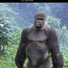 bigbotty215