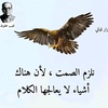 ابوعمار محمد خالد القباطي 22