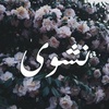 nashwa.ahmed0