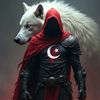 asil_kadininyargici