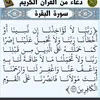 akokamal316