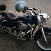 harleyrolando