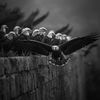 un_know898