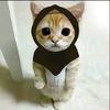 devraaa4