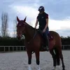 equestrianeyb