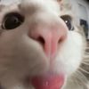 nora_hendy11