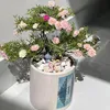 Shop hoa mười giờ bonsai
