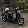 kadeksuryawan64