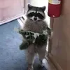 heobellbicbay