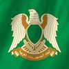 mohammadaibaraasy