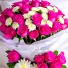 rizwan.rajpoot57