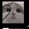 syifasauqiya69