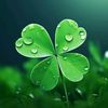 summer_clover60
