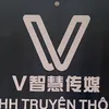 Cty  TNHH TT trí tuệ V