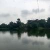 jonyraj4245