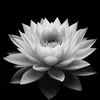 khnhngc0504