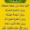 shaker.alflahi