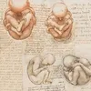 michelangelo2992