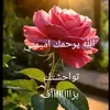 hamamat_rif
