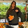 clementine860