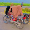 cheif_baghdadi
