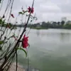 Tôi Yêu Việt Nam