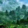 thanhhai.5672