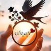 mohamedshibl2011