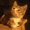kim.afran