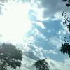 izabellamariasilv3