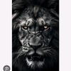sultan12355678910
