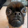 onlyfanssteven7