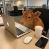 bstypro