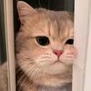 mifthljnnah_712