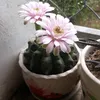 kienphan808