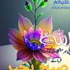 rehman.123451