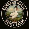 reiky.savian