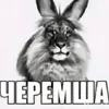 daniil.sergeev5